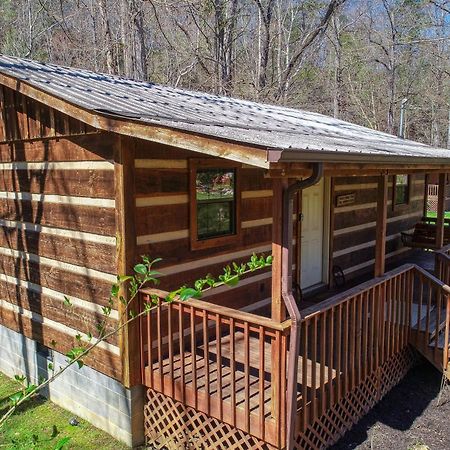 Cosby Creekside Memories Cabin מראה חיצוני תמונה
